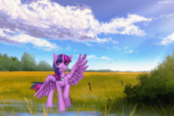 Size: 1503x1000 | Tagged: safe, artist:margony, twilight sparkle, alicorn, pony, g4, female, jewelry, looking at you, necklace, outdoors, power line, scenery, solo, twilight sparkle (alicorn), ych result