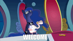 Size: 806x451 | Tagged: safe, edit, edited screencap, screencap, princess luna, alicorn, bird, goose, pony, g4, sparkle's seven, animal, animated, caption, discovery family logo, duo, ethereal mane, female, image macro, loop, luna petting goose, mare, petting, solo, starry mane, text, throne, welcome