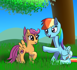 Size: 1591x1459 | Tagged: safe, artist:platinumdrop, rainbow dash, scootaloo, pony, g4, grass, happy, tree