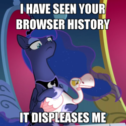 Size: 600x600 | Tagged: safe, edit, edited screencap, screencap, princess luna, alicorn, bird, goose, pony, g4, sparkle's seven, animal, browser history, caption, cropped, disapproval, duo, ethereal mane, female, image macro, lidded eyes, luna petting goose, mare, petting, starry mane, text, throne