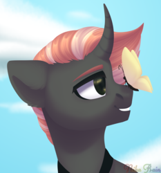 Size: 2796x3000 | Tagged: safe, artist:nika-rain, oc, oc only, butterfly, pony, unicorn, bust, cloud, commission, high res, male, portrait, simple background, sky, solo
