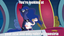 Size: 806x451 | Tagged: safe, edit, edited screencap, screencap, princess luna, alicorn, bird, goose, pony, g4, sparkle's seven, animal, animated, duo, ethereal mane, female, gif, hoof shoes, lidded eyes, luna petting goose, mare, petting, solo, starry mane, text, throne, throne room