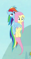 Size: 380x719 | Tagged: safe, screencap, fluttershy, rainbow dash, pony, g4, season 9, sparkle's seven, cropped, duo, flying