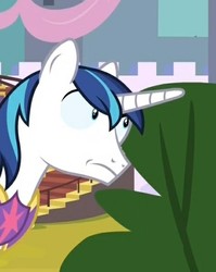 Size: 475x598 | Tagged: safe, screencap, shining armor, pony, unicorn, g4, sparkle's seven, always watching, cropped, faic, male, solo, stallion, stare, suspicious shining