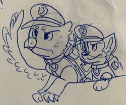 Size: 2704x2272 | Tagged: safe, artist:rainbow eevee, gallus, dog, german shepherd, griffon, g4, chase (paw patrol), clothes, crossover, duo, hat, high res, ink, lineart, looking up, paw patrol, pen drawing, police, traditional art, wings