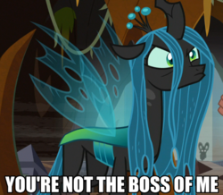 Size: 704x615 | Tagged: safe, edit, edited screencap, screencap, grogar, queen chrysalis, changeling, changeling queen, pony, g4, the beginning of the end, baby talk, brat, burn, caption, cropped, cute, cutealis, dialogue, dork, dorkalis, faic, female, floppy ears, frown, image macro, immature, intimidating, looking at you, looking up, madorable, mare, menacing, pouting, queen chrysalis is not amused, reaction image, savage, silly, silly pony, solo focus, spoiled, text, unamused, whining, your argument is invalid