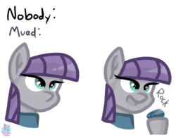 Size: 1012x795 | Tagged: safe, artist:rainbow eevee, boulder (g4), maud pie, pony, g4, clothes, female, meme, misspelling, nobody meme, rock, simple background, solo, white background
