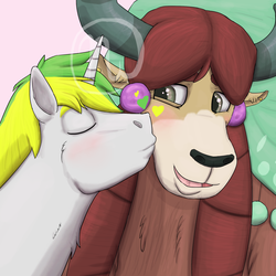 Size: 1800x1800 | Tagged: safe, artist:azurllinate, yona, oc, oc:sol bright, pony, unicorn, yak, g4, blushing, braid, brown eyes, canon x oc, cheek kiss, close-up, couple, eyes closed, green hair, hair beads, horns, interspecies, kissing, love, smiling, two toned mane, yellow hair