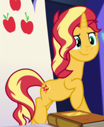 Size: 588x718 | Tagged: safe, screencap, sunset shimmer, pony, unicorn, equestria girls, equestria girls specials, g4, my little pony equestria girls: better together, my little pony equestria girls: spring breakdown, book, cropped, cute, female, friendship throne, shimmerbetes, solo