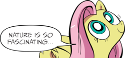 Size: 3776x1769 | Tagged: safe, artist:sponandi, idw, fluttershy, pony, g4, the return of queen chrysalis, 1000 hours in gimp, comic, female, gimp, high res, looking up, meme, nature is so fascinating, simple background, solo, speech bubble, text, transparent background, vector