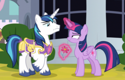 Size: 1333x861 | Tagged: safe, screencap, shining armor, twilight sparkle, alicorn, pony, g4, sparkle's seven, cropped, devious smile, female, flower, glowing horn, horn, levitation, lidded eyes, magic, male, out of context, royal guard armor, smuglight sparkle, suspicious, telekinesis, twilight sparkle (alicorn)