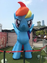 Size: 720x960 | Tagged: safe, photographer:henrychan, rainbow dash, pegasus, pony, g4, >:), friendship festival, hong kong, inflatable, irl, photo, smiling, smirk
