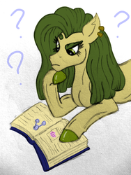 Size: 1877x2493 | Tagged: safe, artist:thr3eguess3s, oc, oc only, oc:apple core, earth pony, pony, book, eyebrows, female, mare, mixed media, offspring, parent:big macintosh, parent:limestone pie, parents:limemac, question mark, solo, torn ear