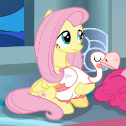 Size: 545x545 | Tagged: safe, screencap, fluttershy, pinkie pie, earth pony, goose, pegasus, pony, g4, sparkle's seven, animal, animated, beautiful, blinking, canterlot castle, cropped, cute, eyes closed, female, folded wings, loop, mare, perfect loop, petting, shyabetes, sitting, solo focus, wings