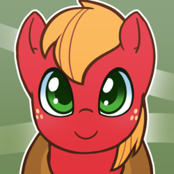 Size: 1000x1000 | Tagged: safe, artist:puetsua, big macintosh, earth pony, pony, g4, abstract background, avatar, bust, looking at you, male, portrait, solo, stallion, younger