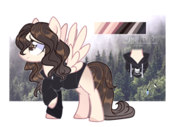 Size: 3528x2508 | Tagged: safe, artist:iheyyasyfox, oc, oc only, oc:padme, pegasus, pony, clothes, female, forest, high res, hoodie, mare, reference sheet, shirt, solo