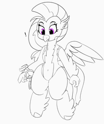 Size: 1280x1525 | Tagged: safe, artist:pabbley, silverstream, hippogriff, g4, 30 minute art challenge, belly button, clothes, female, hippogriff wonderbolt, lineart, non-pegasus wonderbolt, solo, uniform, wonderbolt silverstream, wonderbolts uniform