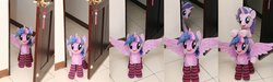 Size: 1024x306 | Tagged: safe, artist:nekokevin, starlight glimmer, twilight sparkle, alicorn, pony, unicorn, series:nekokevin's glimmy, g4, clothes, door, female, irl, looking at you, mare, open mouth, photo, plushie, ponies riding ponies, riding, smiling, socks, spread wings, starlight glimmer riding twilight, starlight's little twibird, striped socks, twilight sparkle (alicorn), underhoof, wings