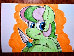 Size: 2560x1920 | Tagged: safe, artist:thebadbadger, oc, oc only, oc:grassy blade, pegasus, pony, knife, solo, traditional art