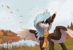 Size: 2420x1681 | Tagged: safe, artist:koviry, oc, oc only, pegasus, pony, clothes, commission, grass, multicolored iris, raised hoof, river, scarf, solo