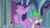 Size: 1920x1080 | Tagged: safe, screencap, spike, twilight sparkle, alicorn, pony, g4, sparkle's seven, twilight sparkle (alicorn)