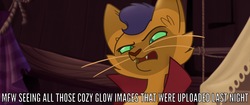 Size: 1920x804 | Tagged: safe, edit, edited screencap, screencap, capper dapperpaws, cat, derpibooru, g4, my little pony: the movie, caption, image macro, male, meta, reaction image, solo, text
