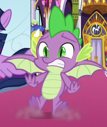 Size: 333x392 | Tagged: safe, screencap, spike, twilight sparkle, alicorn, dragon, pony, g4, season 9, sparkle's seven, claws, cropped, dust, gritted teeth, looking at you, male, offscreen character, screech, shocked, skidding, solo focus, spread toes, spread wings, teeth, toes, twilight sparkle (alicorn), underfoot, winged spike, wings