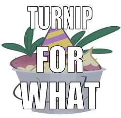 Size: 669x649 | Tagged: safe, edit, editor:undeadponysoldier, mr. turnip, dj snake, funny, lil jon, meme, pun, simple background, song reference, turn down for what, white background