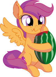 Size: 5815x7950 | Tagged: safe, artist:cyanlightning, scootaloo, pegasus, pony, g4, .svg available, absurd resolution, chest fluff, cute, cutealoo, ear fluff, eating, female, filly, food, hair, herbivore, simple background, sitting, solo, tongue out, transparent background, vector, watermelon
