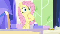 Size: 852x478 | Tagged: safe, screencap, fluttershy, pony, g4, sparkle's seven, discovery family logo, female, mare, solo, surprised, throne room, twilight's castle