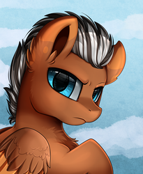 Size: 1446x1764 | Tagged: safe, artist:pridark, oc, oc only, oc:apollo, pegasus, pony, bust, chest fluff, commission, looking at you, male, portrait, solo