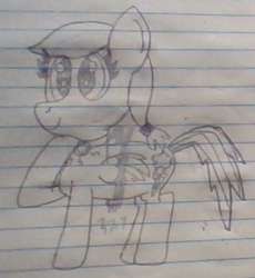Size: 396x430 | Tagged: safe, artist:nightshadowmlp, rainbow dash, oc, oc:snowfall wind, pony, g4, secrets and pies, disguise, evil pie hater dash, female, jewelry, lineart, lined paper, necklace, smiling, solo, traditional art