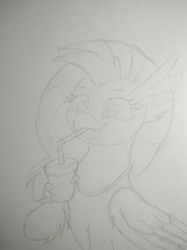 Size: 1280x1707 | Tagged: safe, artist:ljdamz1119, silverstream, classical hippogriff, hippogriff, g4, drink, drinking straw, female, holding, lineart, pencil drawing, simple background, sketch, smiling, solo, traditional art, white background