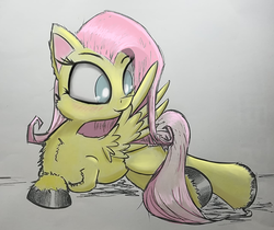 Size: 1278x1075 | Tagged: safe, artist:aeropegasus, artist:chopsticks, fluttershy, pegasus, pony, g4, chest fluff, collaboration, cute, digital art, female, hoof fluff, mare, preening, shyabetes, solo, traditional art, unshorn fetlocks