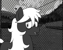 Size: 1280x1024 | Tagged: safe, artist:scraggleman, oc, oc only, oc:cipher, earth pony, pony, fence, male, monochrome, solo, stallion, story included, story:lost and found