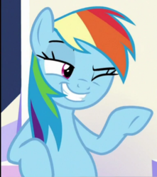 Size: 386x437 | Tagged: safe, screencap, rainbow dash, pegasus, pony, g4, sparkle's seven, cropped, female, one eye closed, wink