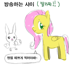 Size: 750x740 | Tagged: source needed, safe, artist:pohwaran, angel bunny, fluttershy, pegasus, pony, rabbit, g4, animal, chibi, colored doodle, doodle, female, folded wings, korean, mare, simple, standing, translation request, wings