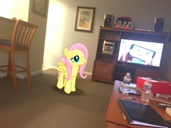 Size: 4032x3024 | Tagged: safe, gameloft, photographer:undeadponysoldier, fluttershy, pegasus, pony, g4, bust, dvd player, flatscreen, game, irl, photo, ponies in real life, portrait, shoe box, speaker, television, watching tv, water bottle