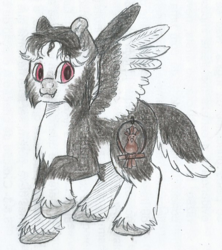 Size: 601x676 | Tagged: safe, artist:69beas, oc, oc only, oc:justin feuer, pegasus, pony, :3, cheek fluff, chest fluff, fangs, hoof fluff, looking at you, male, raised hoof, solo, spread wings, stallion, traditional art, wings