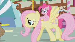 Size: 1280x720 | Tagged: safe, screencap, fluttershy, pinkie pie, duck, pony, g4, griffon the brush off
