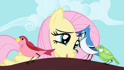 Size: 1280x720 | Tagged: safe, screencap, fluttershy, bird, blue jay, pony, songbird, friendship is magic, g4, cloud, female, mare, open mouth, smiling, talking