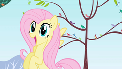 Size: 1280x720 | Tagged: safe, screencap, constance, fluttershy, bird, blue jay, pegasus, pony, friendship is magic, g4, female, flying, mare