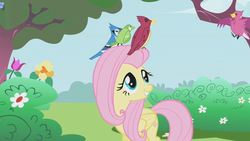 Size: 1280x720 | Tagged: safe, screencap, fluttershy, bird, blue jay, pegasus, pony, g4, the ticket master, female, mare