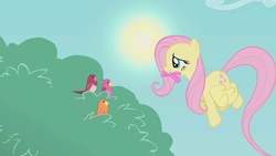 Size: 1280x720 | Tagged: safe, screencap, constance, fluttershy, bird, pegasus, pony, worm, dragonshy, g4, female, flying, mare, mouth hold
