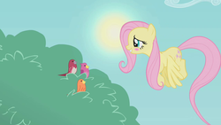 Size: 1280x720 | Tagged: safe, screencap, constance, fluttershy, bird, pegasus, pony, dragonshy, g4, blushing, female, flying, mare