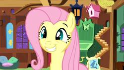 Size: 1280x720 | Tagged: safe, screencap, fluttershy, pony, g4, stare master, female, grin, mare, smiling, solo