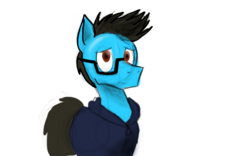 Size: 960x600 | Tagged: safe, artist:ivoryspark, oc, oc only, oc:ivory spark, pony, clothes, glasses, hoodie, male, simple background, solo, spiky mane, stallion, white background