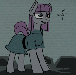 Size: 1750x1724 | Tagged: safe, artist:paskanaakka, derpibooru exclusive, maud pie, earth pony, pony, g4, clothes, female, mare, solo, style emulation, wat