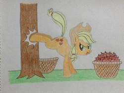 Size: 3264x2448 | Tagged: safe, artist:don2602, applejack, earth pony, pony, g4, :p, apple tree, applebucking, basket, bucking, female, high res, looking back, solo, tongue out, traditional art, tree