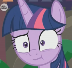Size: 825x775 | Tagged: safe, screencap, twilight sparkle, alicorn, pony, g4, the point of no return, :t, cropped, female, looking at you, mare, reaction image, solo, twilight sparkle (alicorn), twilight sparkle is best facemaker, wide eyes